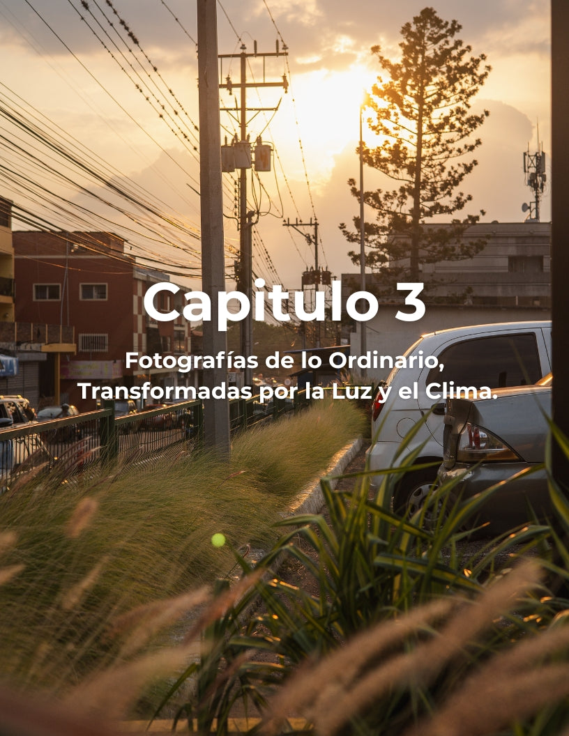 Libro digital San Cristobal la ciudad de la cordialidad